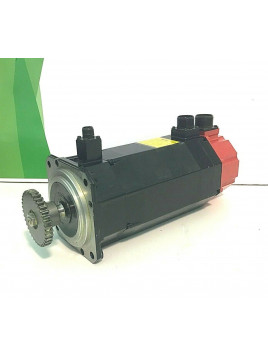 Fanuc     A06B-0163-B175